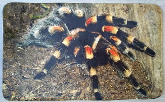 Dywanik 45x75 cm pająk 5made