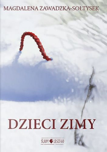 Dzieci zimy Zawadzka-Sołtysek Magdalena