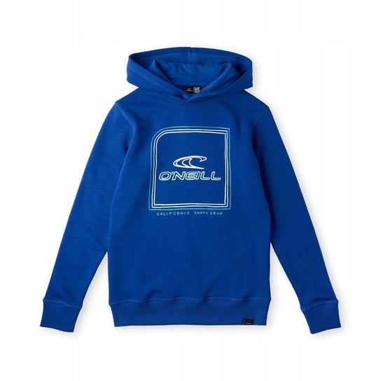 Dziecięca bluza O'NEILL ALL YEAR HOODIE Inna marka