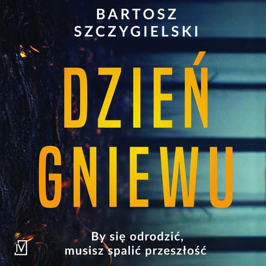 Dzień gniewu - audiobook Szczygielski Bartosz