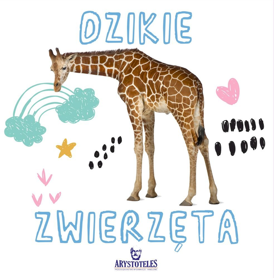 Dzikie zwierzęta Grzankowska Ewelina