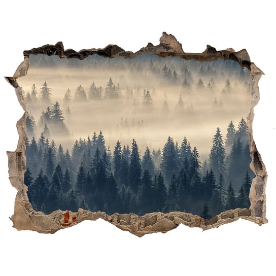 Dziura 3d w ścianie Naklejka Mgła nad lasem 120x81, Tulup Tulup