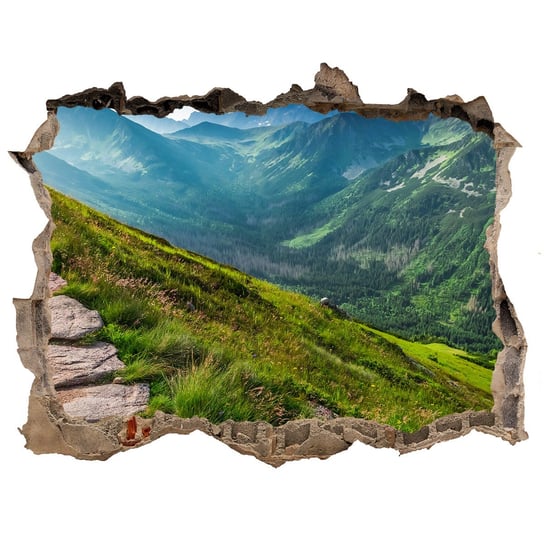 Dziura 3d w ścianie Naklejka Ścieżka w Tatrach, Tulup Tulup