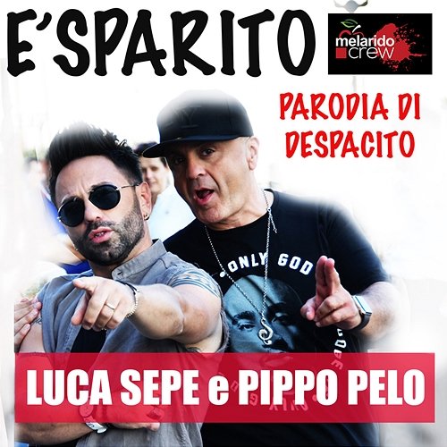 È sparito Pippo Pelo, Luca Sepe