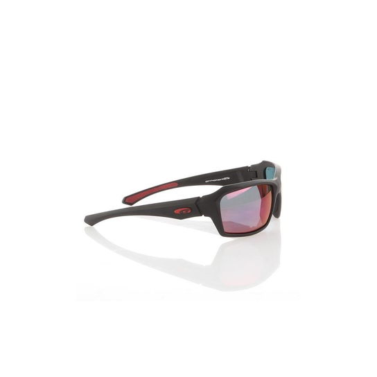 E2112P Goggle