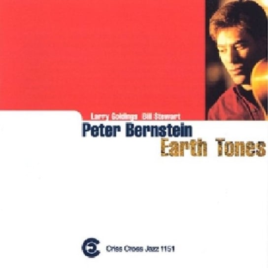 Earth Tones Stewart Bill, Goldings Larry, Peter Bernstein Trio