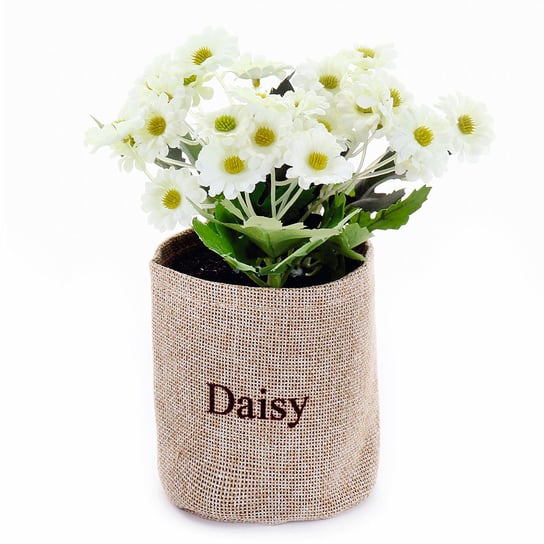 Easter Time, Dekoracja kwiatowa, Daisy, 16 cm Empik