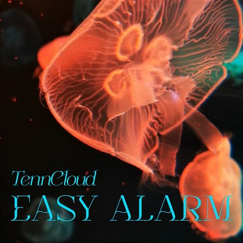 Easy Alarm TennCloud