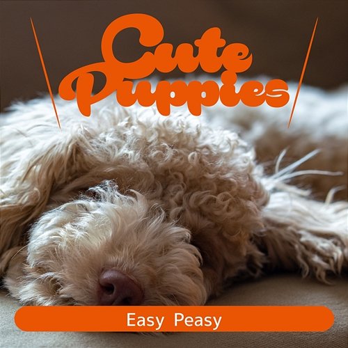 Easy Peasy Cute Puppies