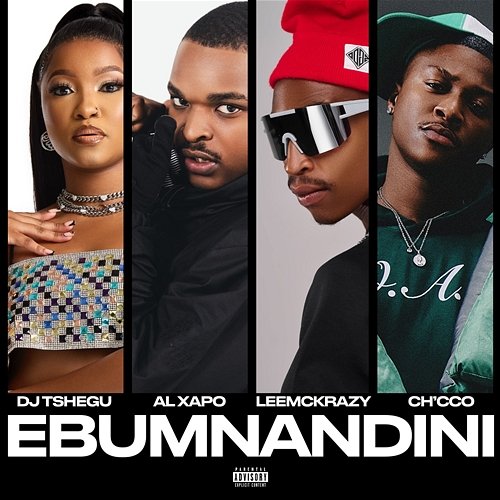 Ebumnandini LastbornDiroba, DJ Tshegu, Al xapo, Ch'cco, LeeMcKrazy