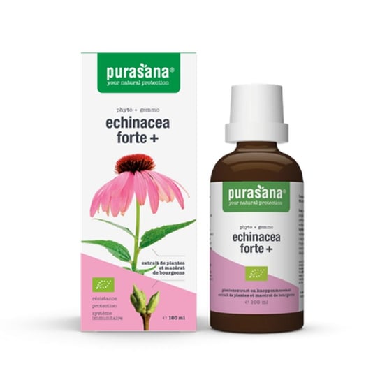 Echinacea Forte Krople Bio 100 ml - Purasana PURASANA