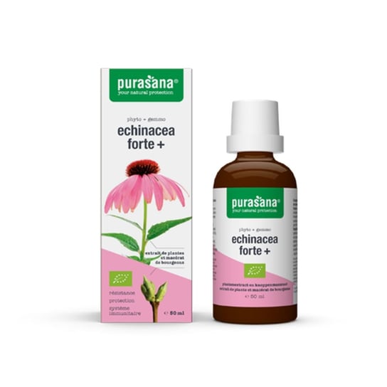 Echinacea Forte Krople Bio 50 ml - Purasana PURASANA