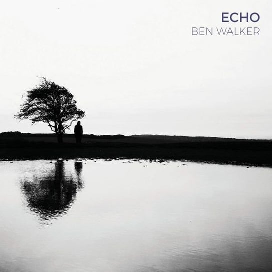 Echo Various Artists