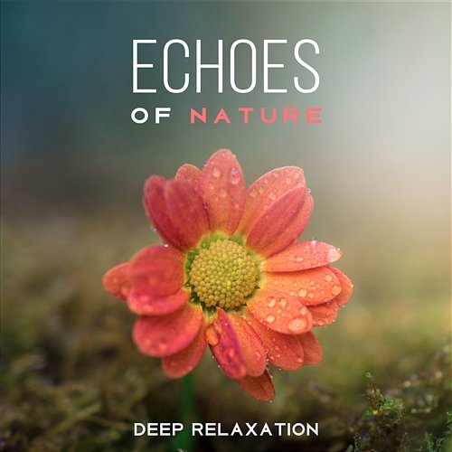 Echoes of Nature – Deep Relaxation: Sounds of Nature for Mindfulness Meditation, Stress Relief, Music for Sleep Aid, Relax Body and Mind, Inner Peace Garden of Zen Music