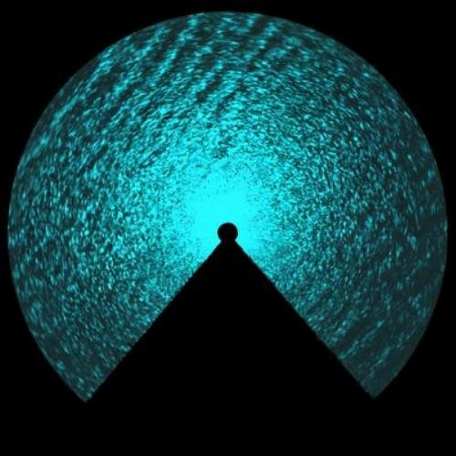 Echomora EXTENSA
