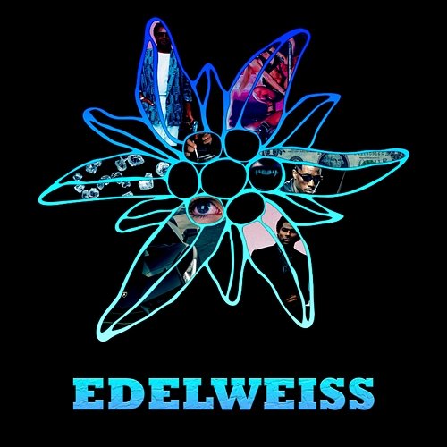 EDELWEISS GBT, Stabiliti