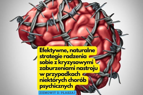 Efektywne, Naturalne Strategie Radzenia Sobie Z Kryzysowymi ...