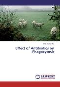 Effect of Antibiotics on Phagocytosis Jha Dilip Kumar