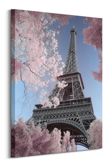 Eiffel Tower Infrared - obraz na płótnie Pyramid International