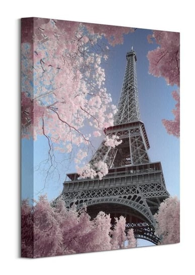 Eiffel Tower Infrared, Paris - obraz na płótnie Pyramid International