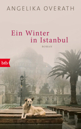Ein Winter in Istanbul btb
