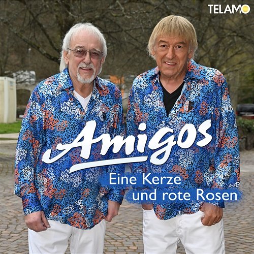 Eine Kerze und rote Rosen Amigos