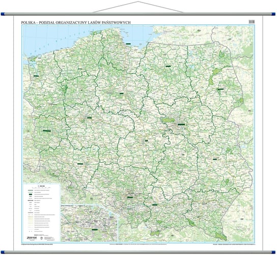 Eko Graf, Polska - podział organizacyjny Lasów Państwowych mapa ścienna, 1:500 000 Eko Graf