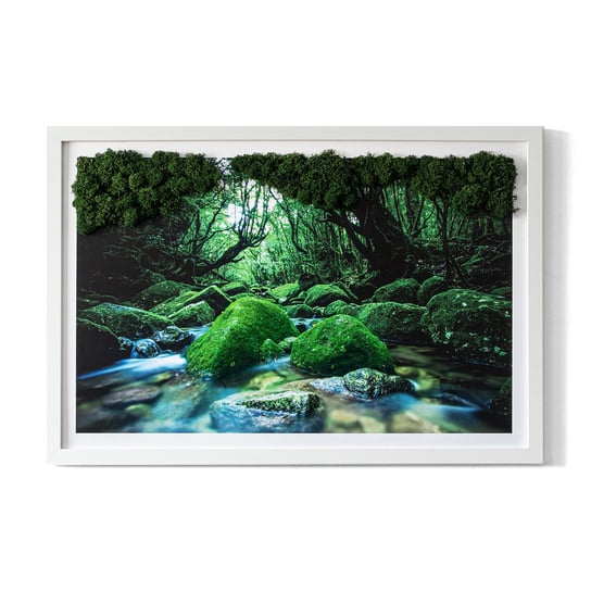 EKO Obraz z Mchem Chrobotkiem - Rzeka w środku lasu - 60x40 cm Tulup