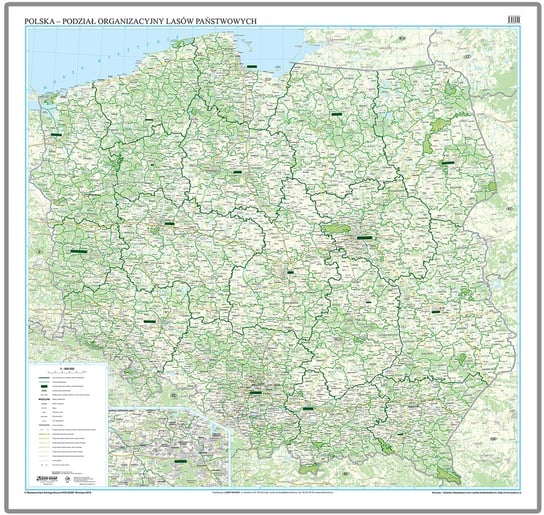 EkoGraf, Polska - podział organizacyjny Lasów Państwowych mapa ścienna na podkładzie w drewnianej ramie, 1:500 000 Eko Graf