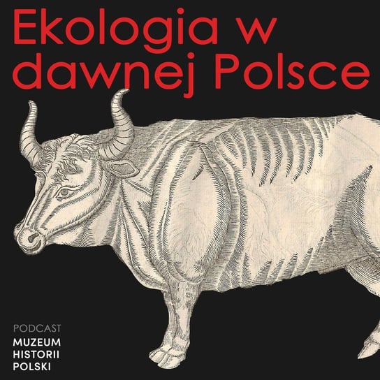 Ekologia w dawnej Polsce - Podcast historyczny. Muzeum Historii Polski - podcast Muzeum Historii Polski