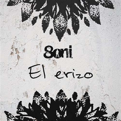 El erizo Boni