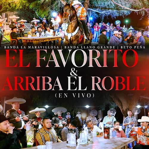 El Favorito & Arriba el Roble Banda La Maravillosa, Banda Llano Grande, Beto Peña