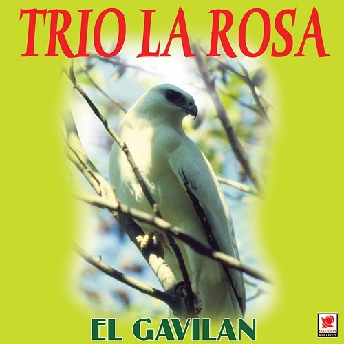 El Gavilán Trio La Rosa