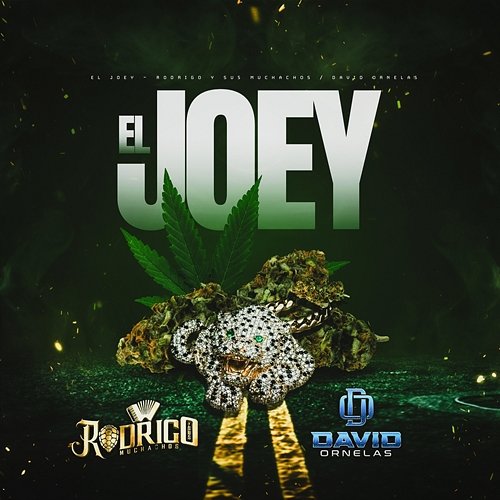 El Joey Rodrigo Y Sus Muchachos, David Ornelas