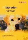 El labrador retriever : guía práctica para la selección, cuidado, nutrición, comportamiento y salud About Pets