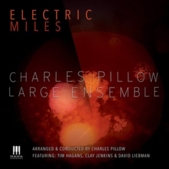 Electric Miles Charles Pillow Large Ensemble