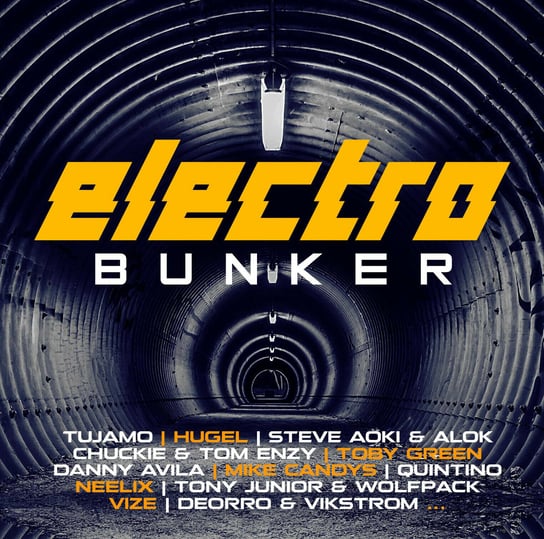 Electro Bunker Various Artists