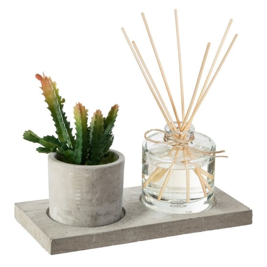 Elegancki zestaw zapachowy AMBRE &amp; JERSEY w komplecie z kaktusem i patyczkami Atmosphera
