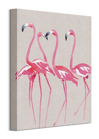 Elegant Flamingos - obraz na płótnie Pyramid International
