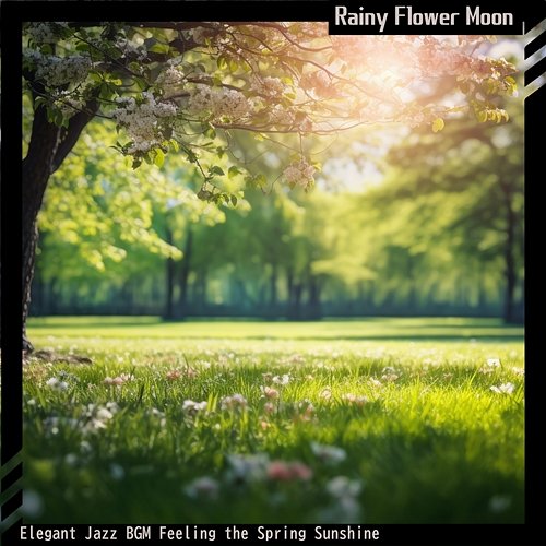 Elegant Jazz Bgm Feeling the Spring Sunshine Rainy Flower Moon