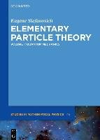 Elementary Particle Theory Stefanovich Eugene