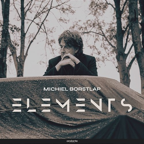 Elements Michiel Borstlap
