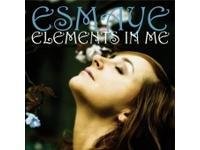 Elements in Me Esmaye