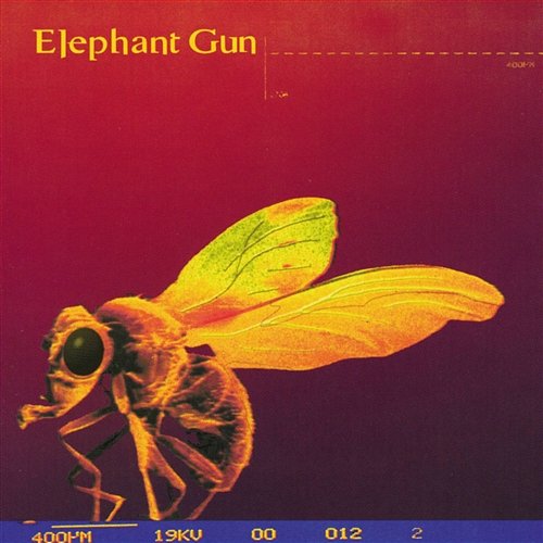 Elephant Gun Elephant Gun