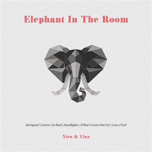 Elephant in the Room Nico & Vinz
