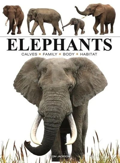 Elephants Jackson Tom