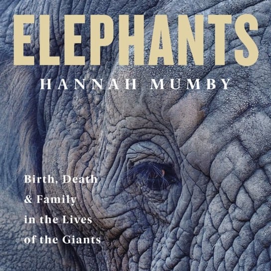 Elephants Mumby Hannah
