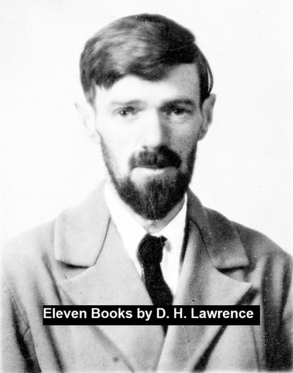 Eleven Books Lawrence D. H.