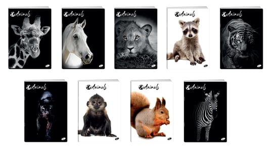 Elisa, zeszyt w kratkę, A4, Animals, 10 sztuk Elisa