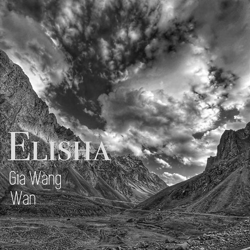 Elisha Gia Wang, 万